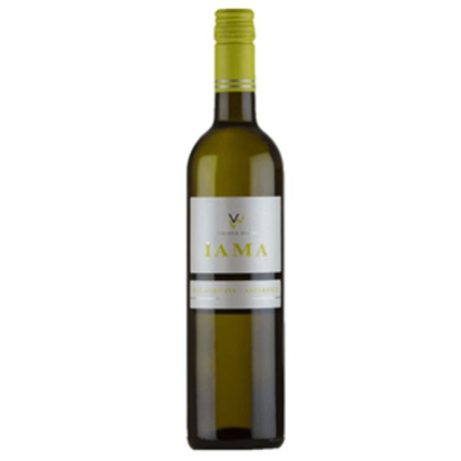 Picture of Vriniotis Winery Iama White 75cl